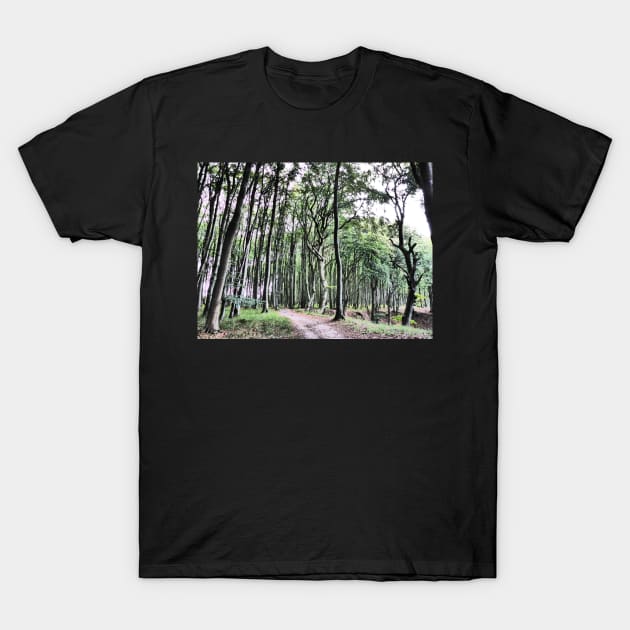 In the forest T-Shirt by jomaot